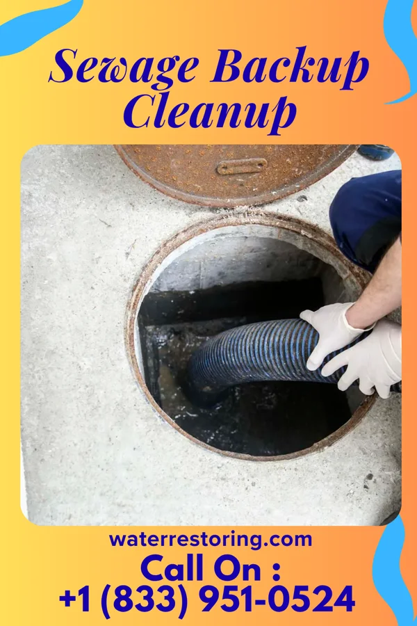 Sewage Backup Cleanup in Monette, AR